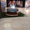 2012050913365657223.JPG